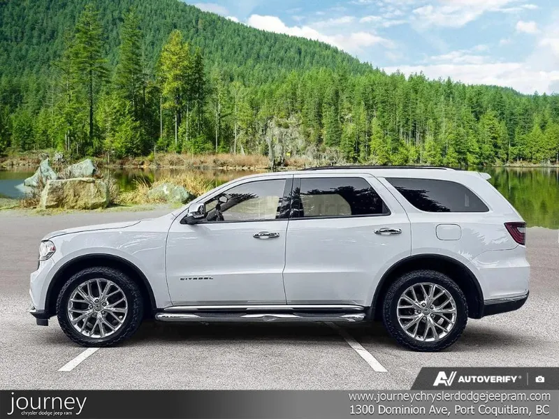 2014 DODGE Durango angle 2