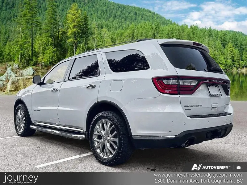 2014 DODGE Durango angle 3
