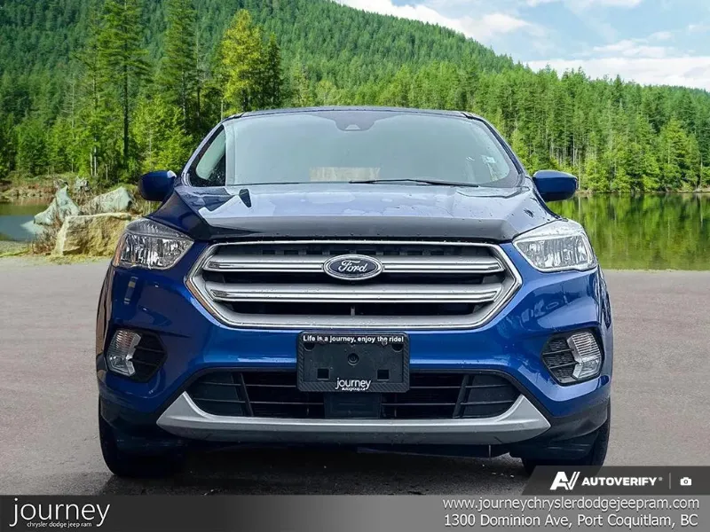 2019 FORD Escape angle 2