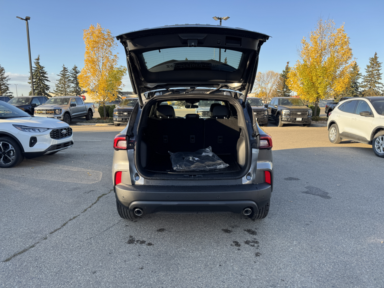 2025 Ford Escape ST-Line photo 4