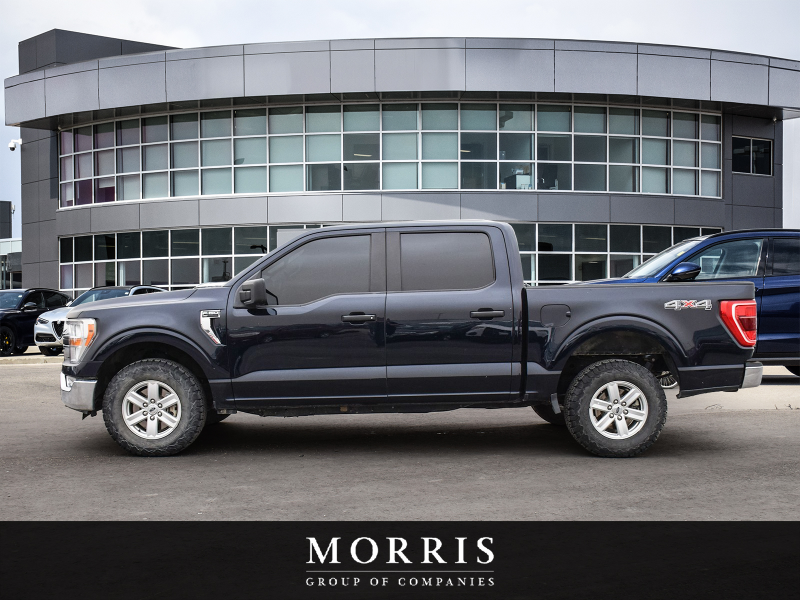 2021 Ford F150 XLT  at Alfa Romeo of Winnipeg Winnipeg Manitoba (Image 3/23)