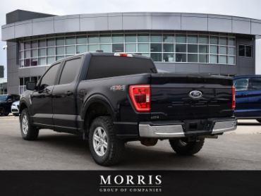 2021 Ford F150 XLT  at Alfa Romeo of Winnipeg Winnipeg Manitoba thumbnail 4