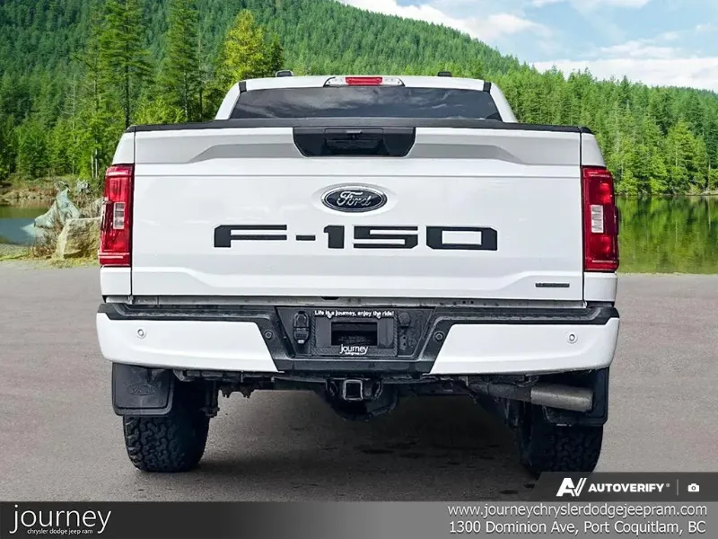 2021 FORD F-150 angle 5