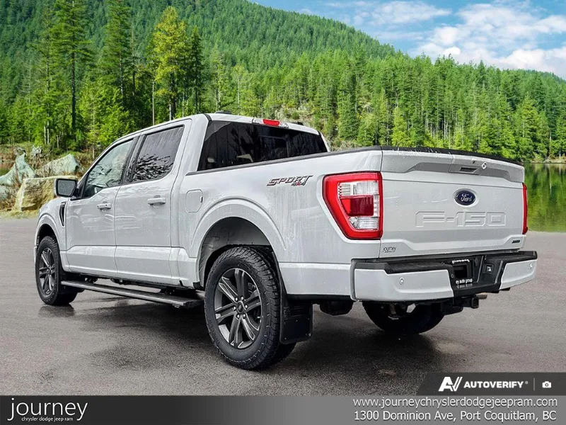 2023 FORD F-150 angle 5