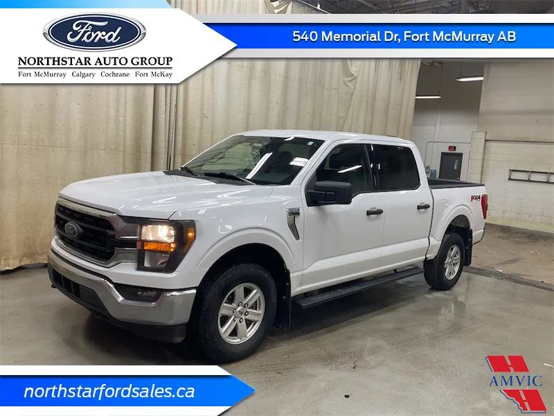 Voxcar FORD F-150 PICKUP TRUCK in , CALGARY