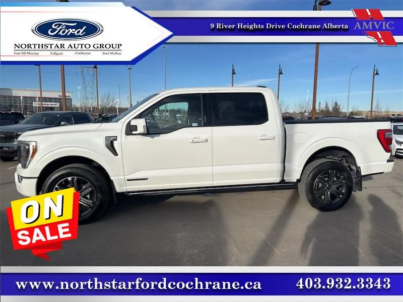 Voxcar FORD F-150 PICKUP TRUCK in , CALGARY