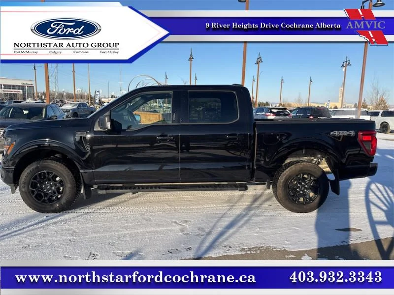 Voxcar FORD F-150 PICKUP TRUCK in , CALGARY