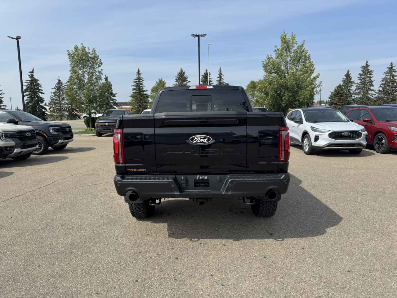 2025 Ford F-150 Tremor photo 3