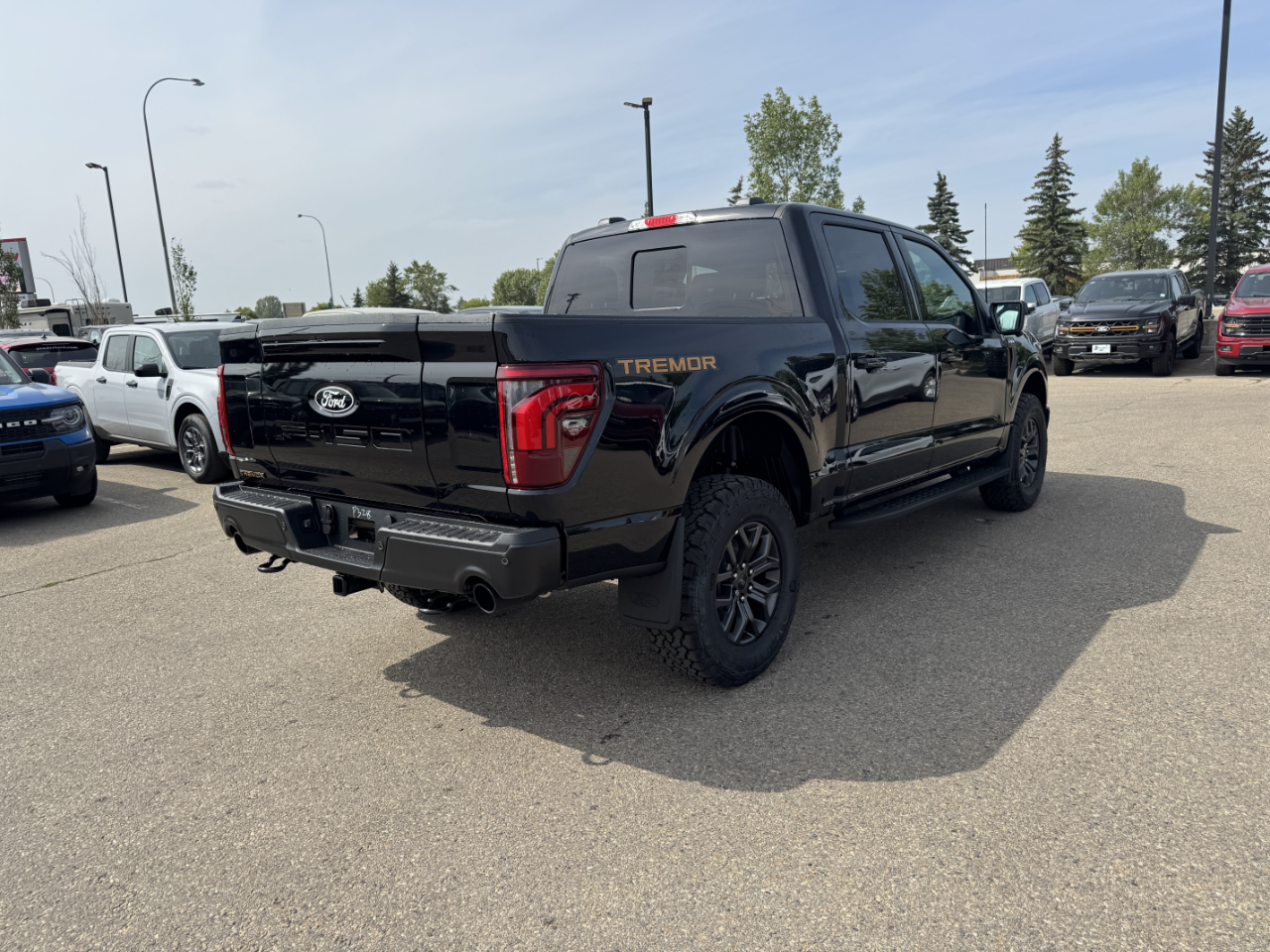 2025 Ford F-150 Tremor photo 4