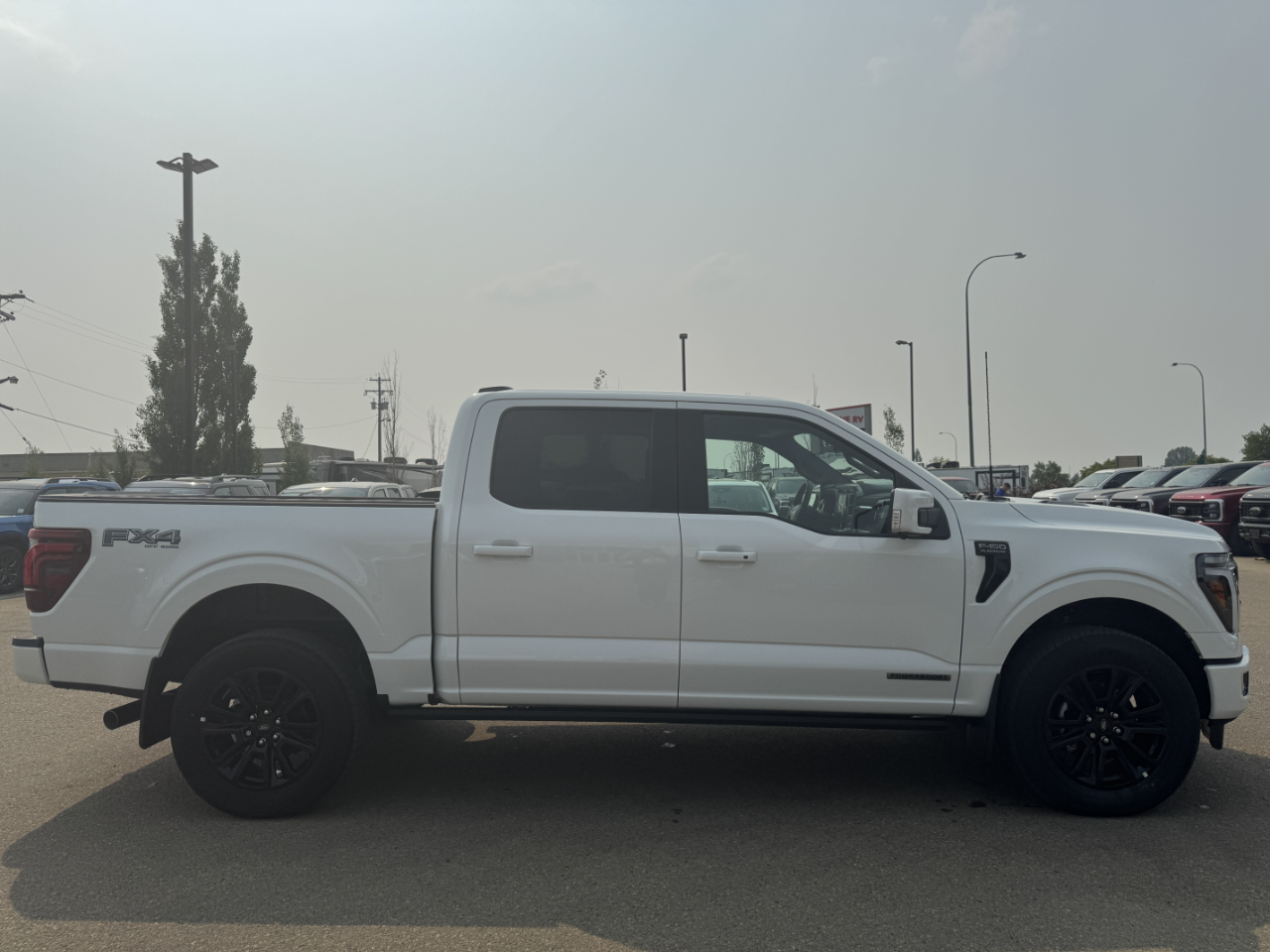 2025 Ford F-150 Platinum photo 4