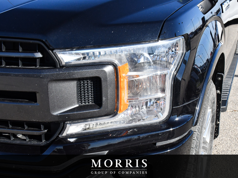 2019 Ford F-150   at Alfa Romeo of Winnipeg Winnipeg MB (Image 6/22)