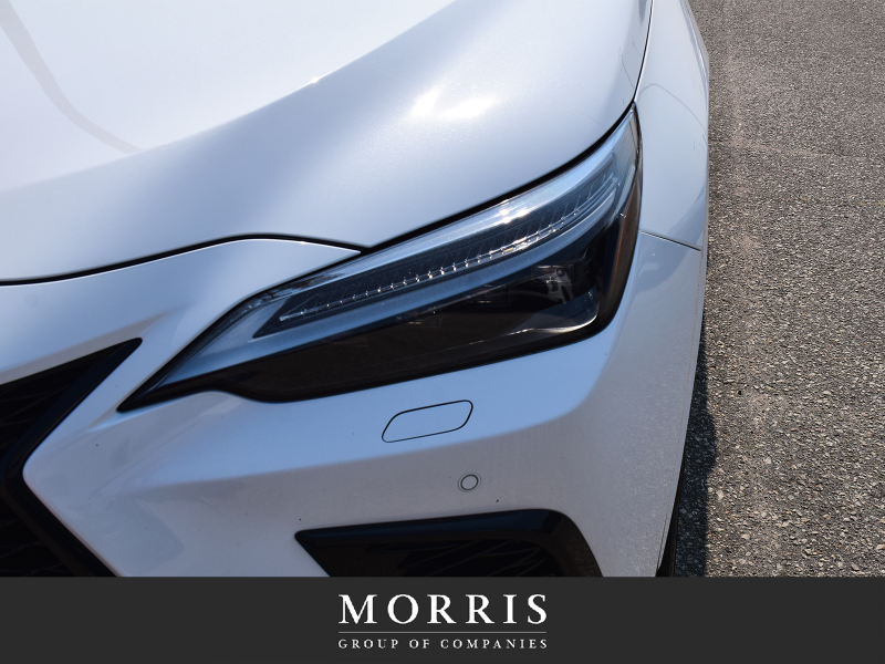 2023 Lexus NX NX 350 F SPORT at Alfa Romeo of Winnipeg Winnipeg Manitoba (Image 6/25)
