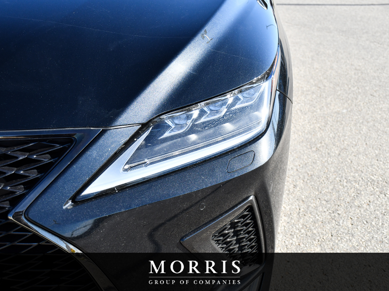 2022 Lexus RX 350 Premium  at Alfa Romeo of Winnipeg Winnipeg Manitoba (Image 6/27)