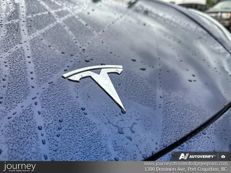 2021 TESLA Model 3 angle 8