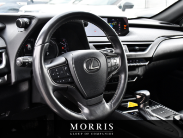 2019 Lexus UX Hybrid   at Alfa Romeo of Winnipeg Winnipeg MB thumbnail 12
