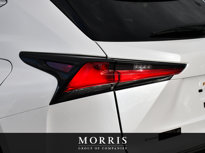 2020 Lexus NX   at Alfa Romeo of Winnipeg Winnipeg MB (Image 7/29)