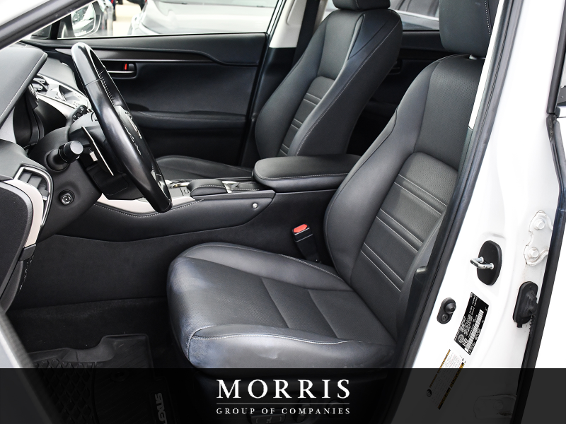 2020 Lexus NX   at Alfa Romeo of Winnipeg Winnipeg MB (Image 14/29)
