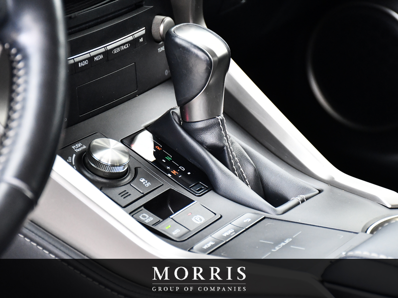 2020 Lexus NX   at Alfa Romeo of Winnipeg Winnipeg MB (Image 13/29)