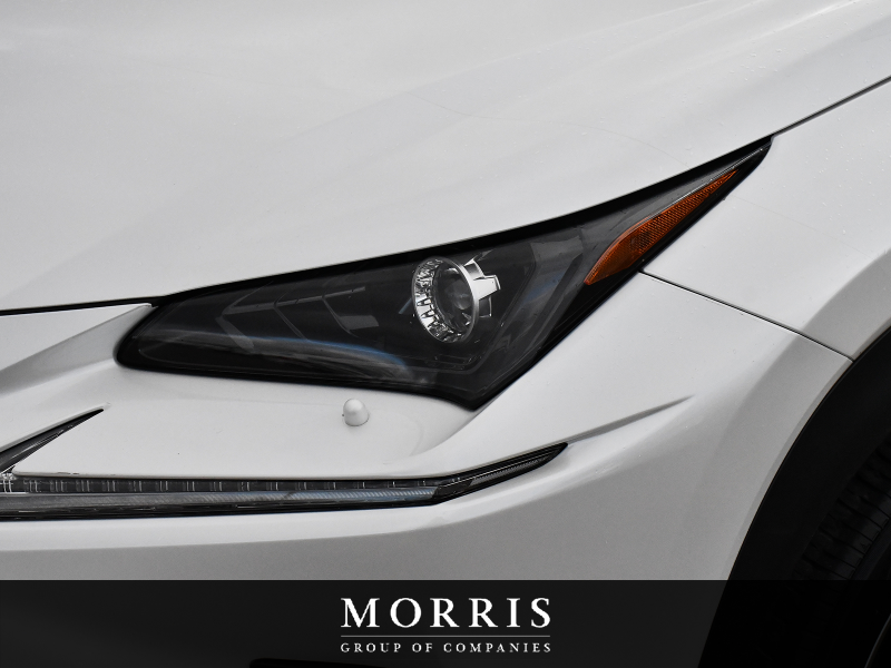 2020 Lexus NX   at Alfa Romeo of Winnipeg Winnipeg MB (Image 6/29)