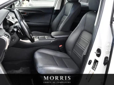 2020 Lexus NX   at Alfa Romeo of Winnipeg Winnipeg MB thumbnail 14