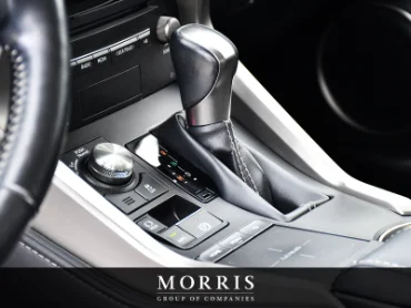 2020 Lexus NX   at Alfa Romeo of Winnipeg Winnipeg MB thumbnail 13