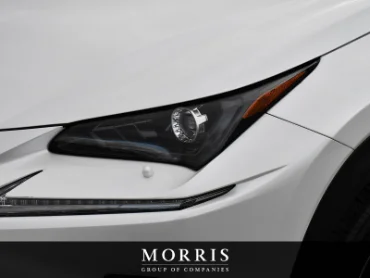 2020 Lexus NX   at Alfa Romeo of Winnipeg Winnipeg MB thumbnail 6