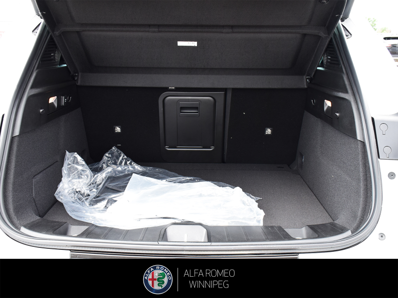 2025 ALFA ROMEO Tonale Veloce  at Alfa Romeo of Winnipeg Winnipeg Manitoba (Image 10/28)