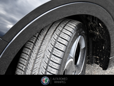 2026 ALFA ROMEO Tonale Veloce  at Alfa Romeo of Winnipeg Winnipeg MB thumbnail 12