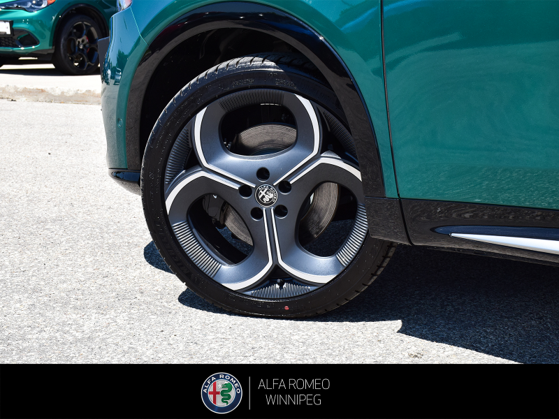 2026 ALFA ROMEO Tonale Speciale  at Alfa Romeo of Winnipeg Winnipeg Manitoba (Image 11/24)