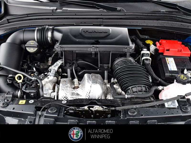 2025 ALFA ROMEO Tonale Veloce  at Alfa Romeo of Winnipeg Winnipeg Manitoba (Image 9/21)