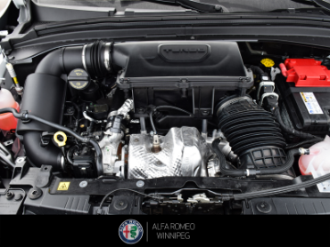 2026 ALFA ROMEO Tonale Speciale  at Alfa Romeo of Winnipeg Winnipeg Manitoba thumbnail 9