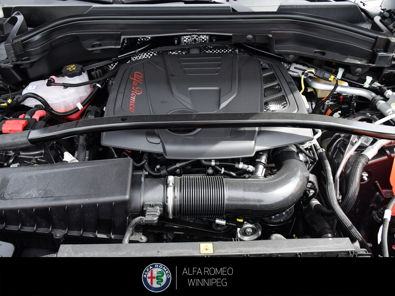 2025 ALFA ROMEO Stelvio   at Alfa Romeo of Winnipeg Winnipeg Manitoba (Image 9/27)