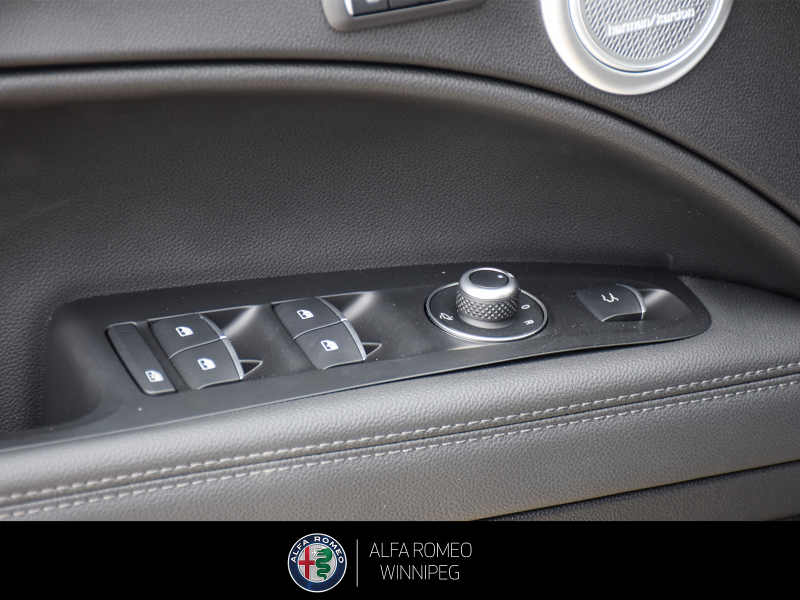 2025 ALFA ROMEO Stelvio   at Alfa Romeo of Winnipeg Winnipeg Manitoba (Image 14/27)