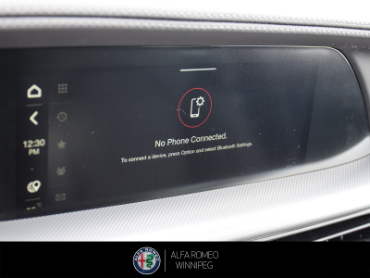 2025 ALFA ROMEO Stelvio   at Alfa Romeo of Winnipeg Winnipeg Manitoba thumbnail 27