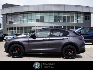 2025 ALFA ROMEO Stelvio   at Alfa Romeo of Winnipeg Winnipeg Manitoba thumbnail 2