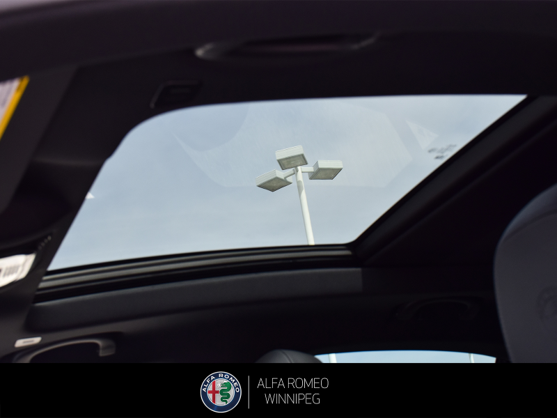 2025 ALFA ROMEO Stelvio at Alfa Romeo of Winnipeg Winnipeg Manitoba (Image 14/27)