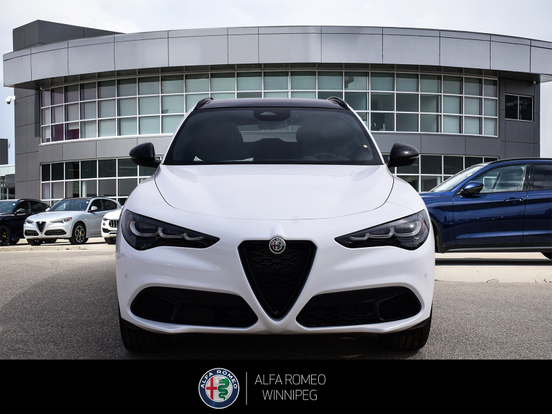 2025 ALFA ROMEO Stelvio at Alfa Romeo of Winnipeg Winnipeg Manitoba (Image 8/27)