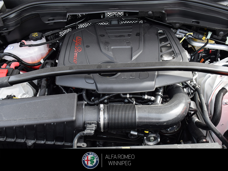 2025 ALFA ROMEO Stelvio at Alfa Romeo of Winnipeg Winnipeg Manitoba (Image 9/27)