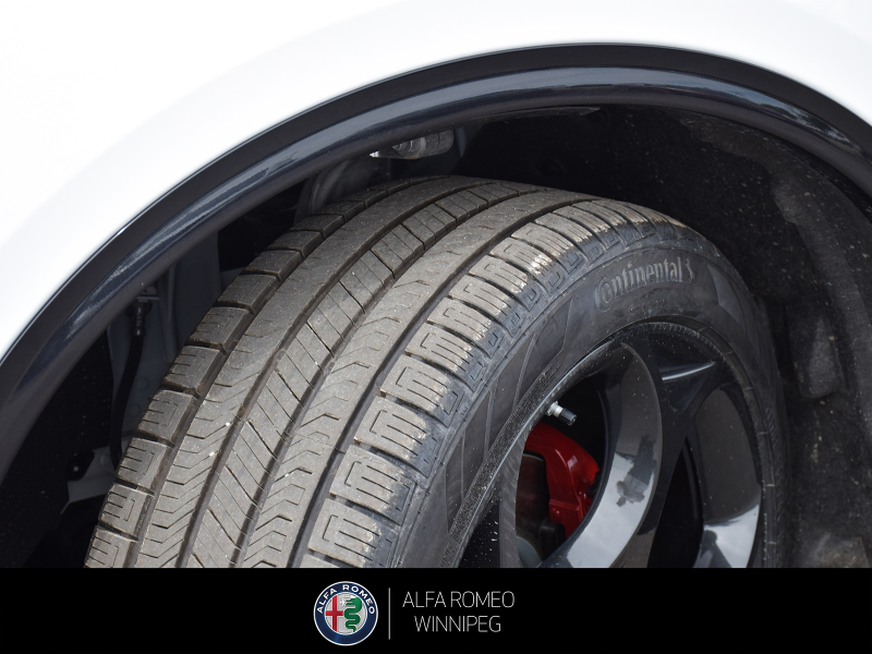2026 ALFA ROMEO Stelvio Veloce  at Alfa Romeo of Winnipeg Winnipeg Manitoba (Image 12/24)