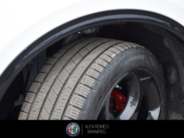 2026 ALFA ROMEO Stelvio Veloce  at Alfa Romeo of Winnipeg Winnipeg Manitoba thumbnail 12