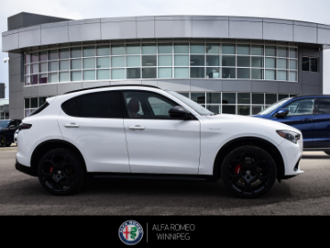 2026 ALFA ROMEO Stelvio Veloce  at Alfa Romeo of Winnipeg Winnipeg Manitoba thumbnail 6