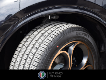 2025 ALFA ROMEO Stelvio Intensa  at Alfa Romeo of Winnipeg Winnipeg Manitoba thumbnail 13