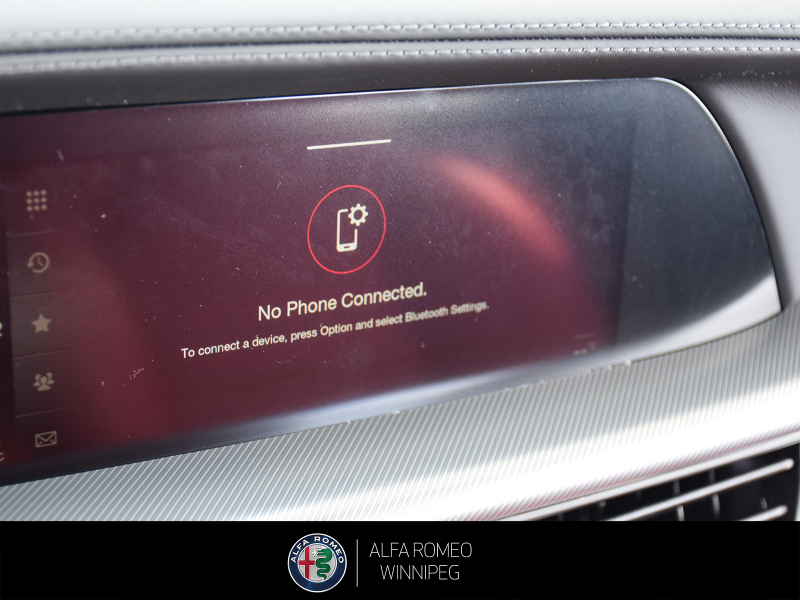 2026 ALFA ROMEO Stelvio at Alfa Romeo of Winnipeg Winnipeg Manitoba (Image 26/26)
