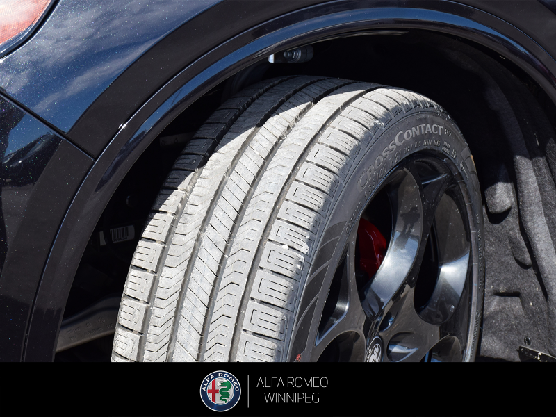 2026 ALFA ROMEO Stelvio at Alfa Romeo of Winnipeg Winnipeg Manitoba (Image 12/26)