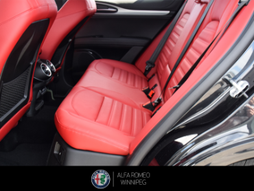 2026 ALFA ROMEO Stelvio   at Alfa Romeo of Winnipeg Winnipeg Manitoba thumbnail 20