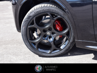2026 ALFA ROMEO Stelvio   at Alfa Romeo of Winnipeg Winnipeg Manitoba thumbnail 11
