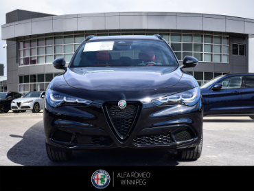 2026 ALFA ROMEO Stelvio   at Alfa Romeo of Winnipeg Winnipeg Manitoba thumbnail 8
