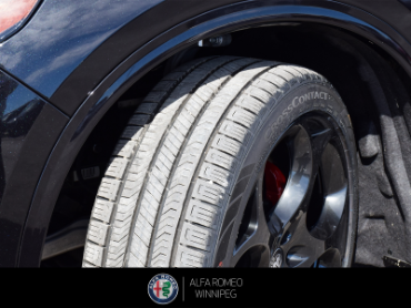 2026 ALFA ROMEO Stelvio   at Alfa Romeo of Winnipeg Winnipeg Manitoba thumbnail 12