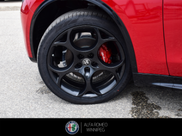 2026 ALFA ROMEO Stelvio Veloce  at Alfa Romeo of Winnipeg Winnipeg Manitoba thumbnail 11
