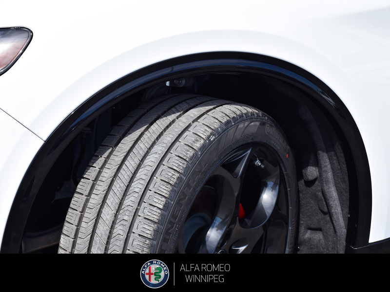 2026 ALFA ROMEO Stelvio at Alfa Romeo of Winnipeg Winnipeg Manitoba (Image 12/27)